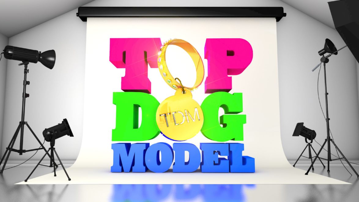 Top Dog Model show title image